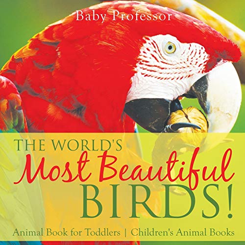 World's Most Beautiful Birds Animal Book for Toddlers Children's Animal Books [Paperback]