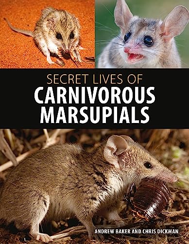 Secret Lives of Carnivorous Marsupials [Hardcover]
