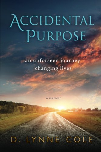 Accidental Purpose An Unforeseen Journey Changing Lives [Paperback]