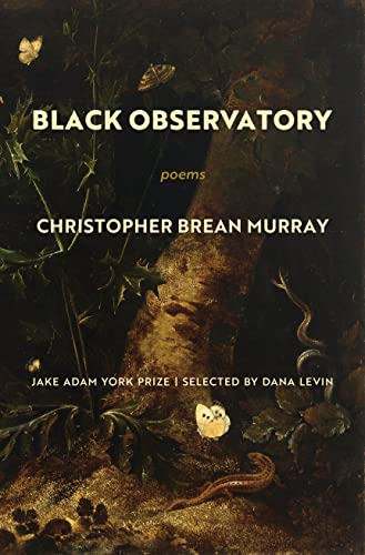 Black Observatory Poems [Paperback]