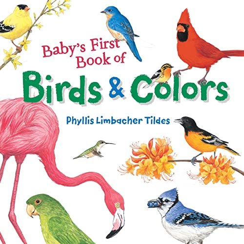 Baby's First Book of Birds &amp Colors [Board book]