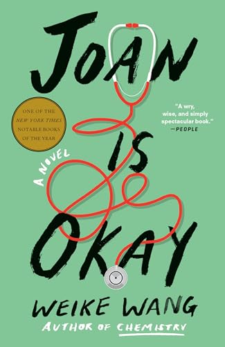 Joan Is Okay A Novel [Paperback]