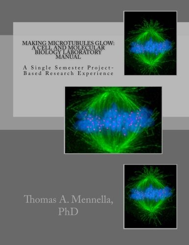 Making Microtubules Glow: A Cell And Molecular Biology Laboratory Manual: A Sing [Paperback]