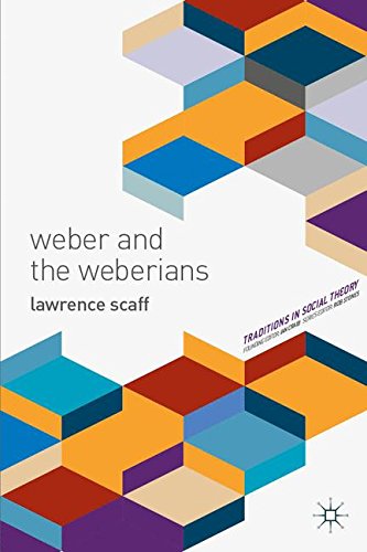 Weber and the Weberians [Hardcover]