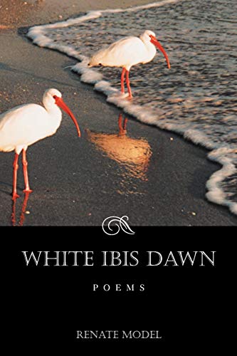 White Ibis Dawn [Paperback]