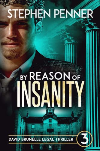 By Reason Of Insanity David Brunelle Legal Thriller 3 [Paperback]