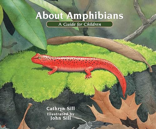 About Amphibians A Guide for Children [Paperback]