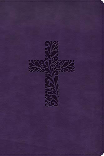 KJV Rainbow Study Bible, Purple LeatherTouch [Unknown]