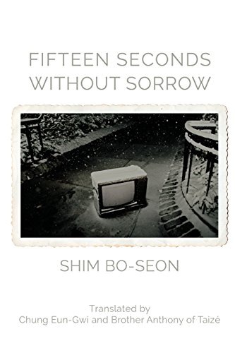 Fifteen Seconds Without Sorrow [Paperback]