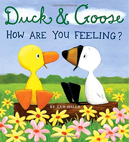 Duck &amp Goose, How Are You Feeling [Board book]