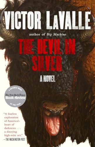 The Devil in Silver A Novel [Paperback]