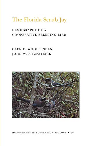 The Florida Scrub Jay (MPB-20), Volume 20 Demography of a Cooperative-Breeding  [Paperback]