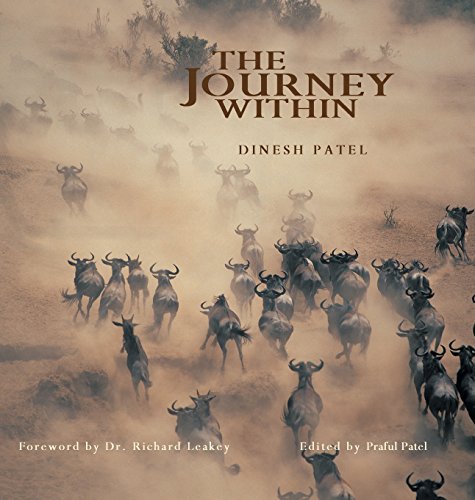The Journey Within [Hardcover]