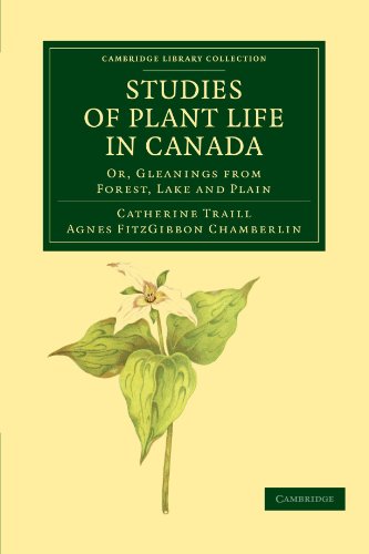 Studies of Plant Life in Canada Or, Gleanings from Forest, Lake and Plain [Paperback]
