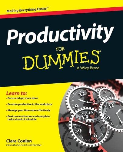 Productivity For Dummies [Paperback]