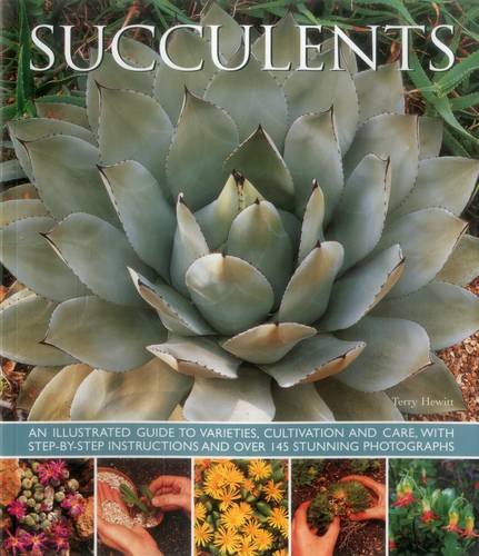 Succulents An illustrated guide to varieties, cultivation and care, with step-b [Paperback]