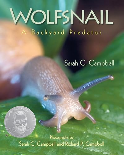 Wolfsnail A Backyard Predator [Paperback]