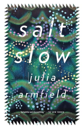 salt slow [Paperback]