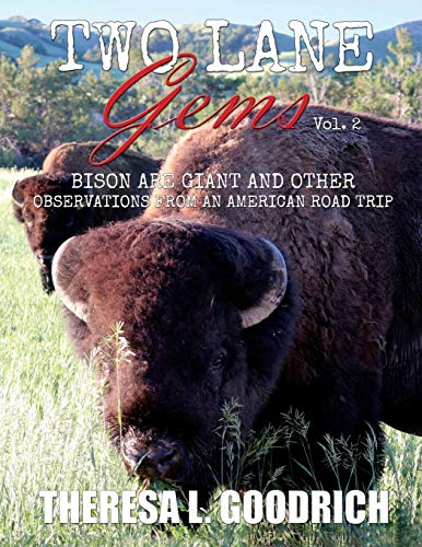 Two Lane Gems, Vol. 2  Bison Are Giant and Other Observations from an American  [Paperback]