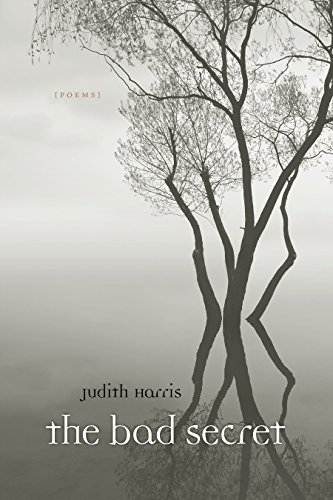 The Bad Secret Poems [Paperback]