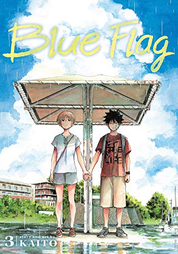 Blue Flag, Vol. 3 [Paperback]