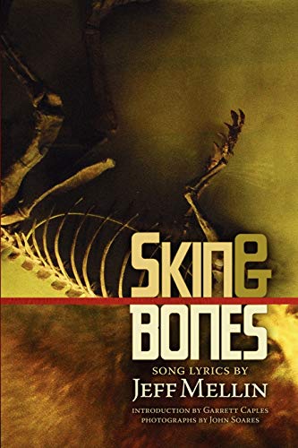 Skin &amp Bones Song Lyrics [Paperback]