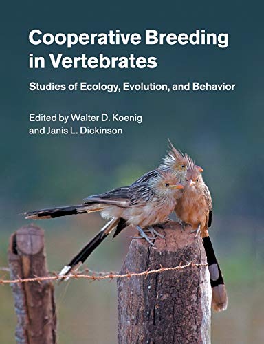 Cooperative Breeding in Vertebrates Studies of Ecology, Evolution, and Behavior [Paperback]