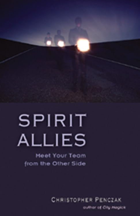 Spirit Allies  Meet Your Team From The Other Side [Paperback]
