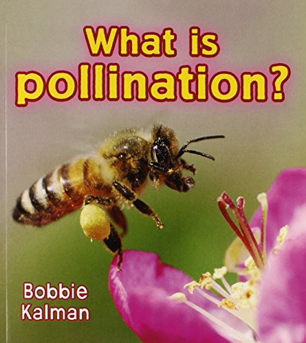 What Is Pollination (big Science Ideas) [Paperback]
