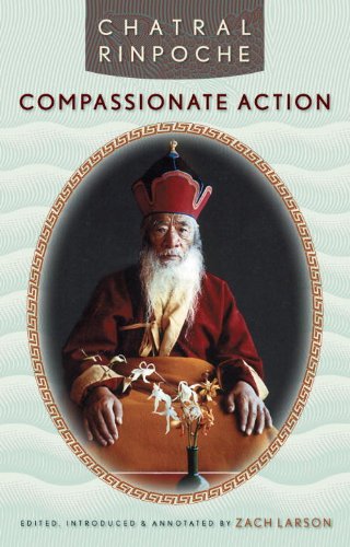 Compassionate Action [Paperback]