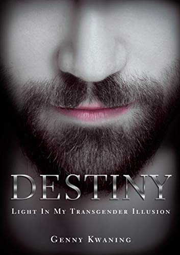 Destiny Light In My Transgender Illusion [Paperback]