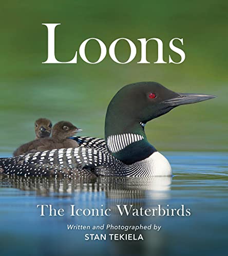 Loons The Iconic Waterbirds [Paperback]