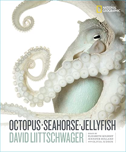 Octopus, Seahorse, Jellyfish [Hardcover]