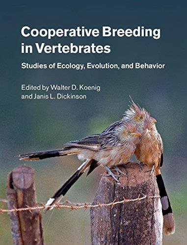 Cooperative Breeding in Vertebrates Studies of Ecology, Evolution, and Behavior [Hardcover]