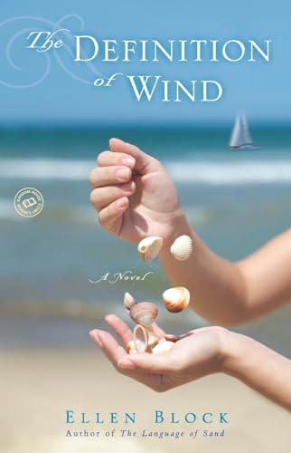 The Definition of Wind A Novel [Paperback]
