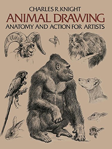Animal Drawing Its Origins, Ancient Forms and Modern Usage [Paperback]