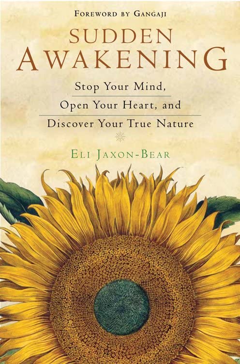 Sudden Awakening Stop Your Mind, Open Your Heart, And Discover Your True Nature [Paperback]