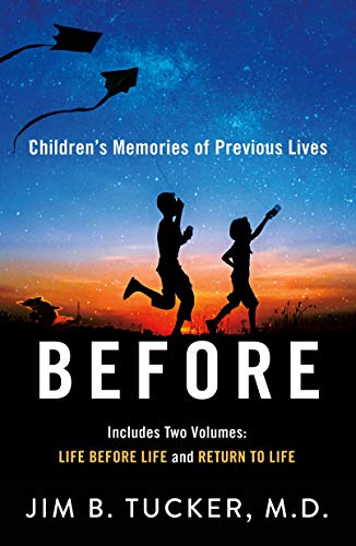 Before Children's Memories of Previous Lives [Paperback]