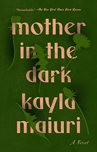 Mother In the Dark A Novel [Paperback]