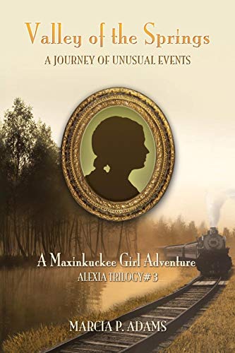 Valley Of The Springs [Paperback]