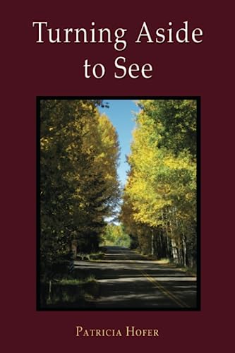 Turning Aside To See [Paperback]