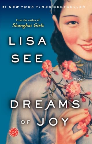 Dreams of Joy A Novel [Paperback]