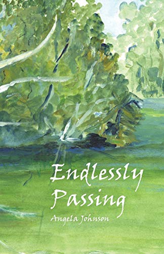 Endlessly Passing [Paperback]