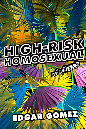 High-Risk Homosexual A Memoir [Paperback]