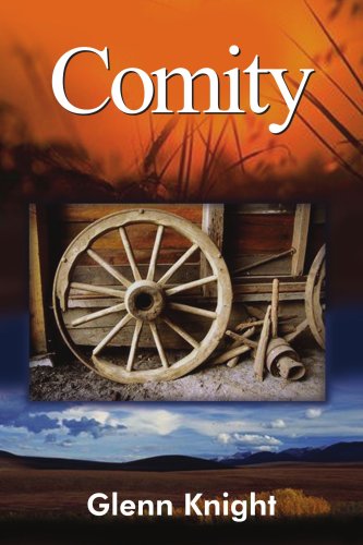 Comity [Paperback]