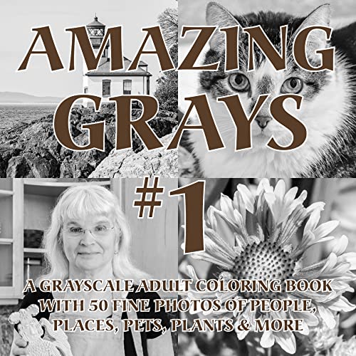 Amazing Grays 1 [Paperback]