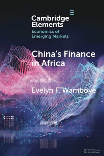 China's Finance in Africa What and How Much [Paperback]