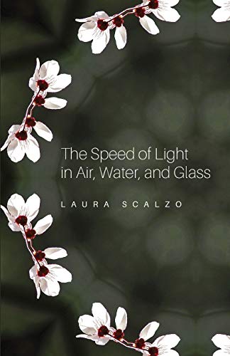 Speed of Light in Air, Water, and Glass [Paperback]