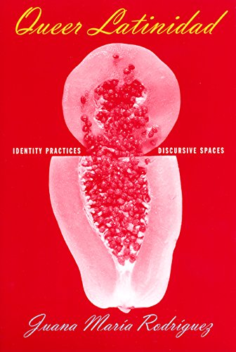 Queer Latinidad Identity Practices, Discursive Spaces [Hardcover]