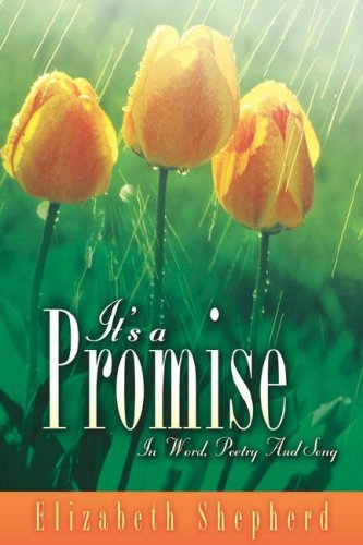It's A Promise [Paperback]